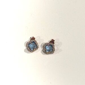 Elegant Blue and Gold Earrings